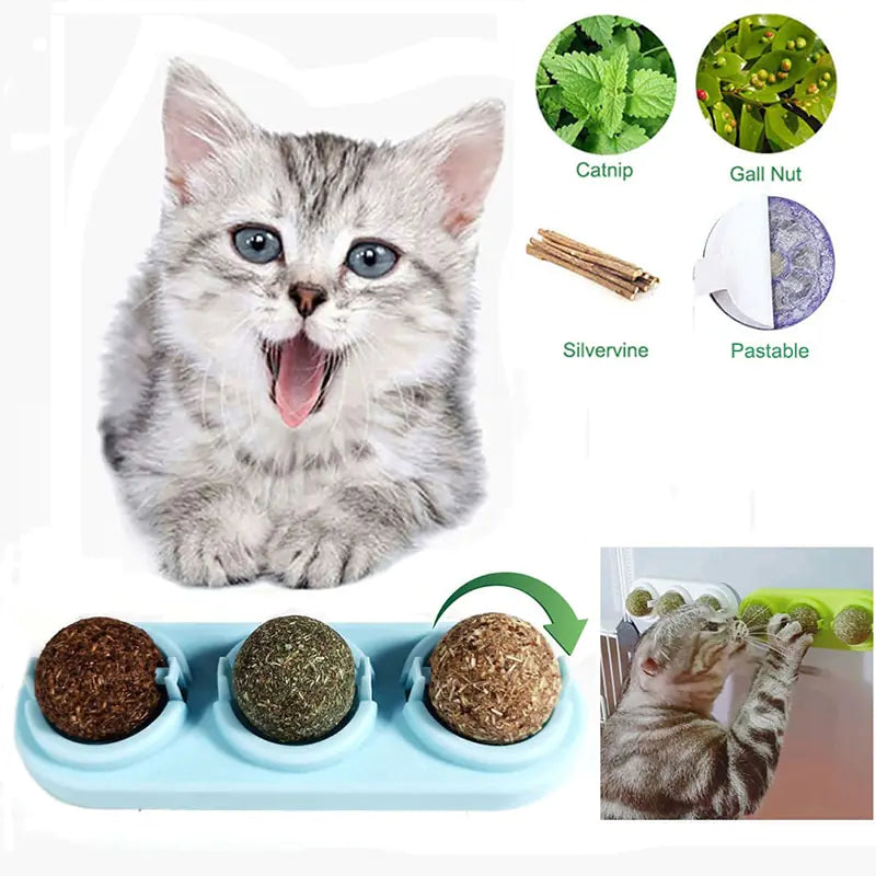 Catnip Ball Toy with Rotating Features for Cats